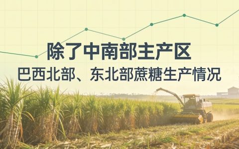 巴西北部和东北部已产糖298万吨 同比骤降13.8% 受美国关税影响较大