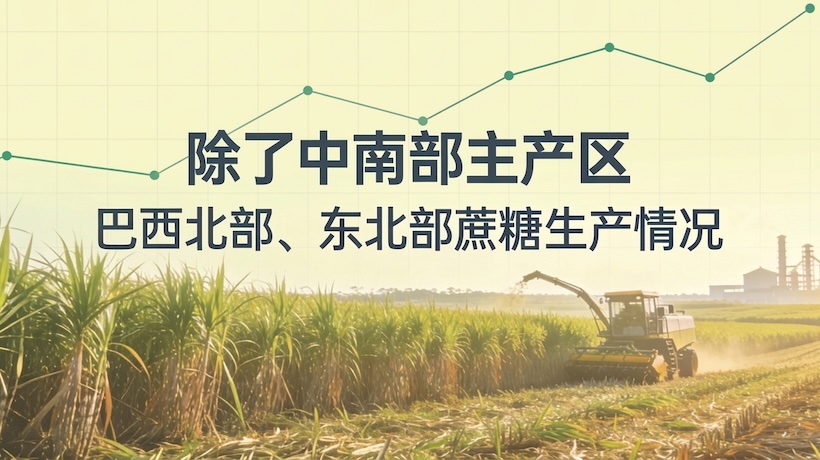 巴西北部和东北部已产糖298万吨 同比骤降13.8% 受美国关税影响较大