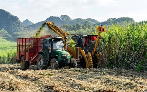 截至4月底广西产糖769.51万吨 同比增长19.03%