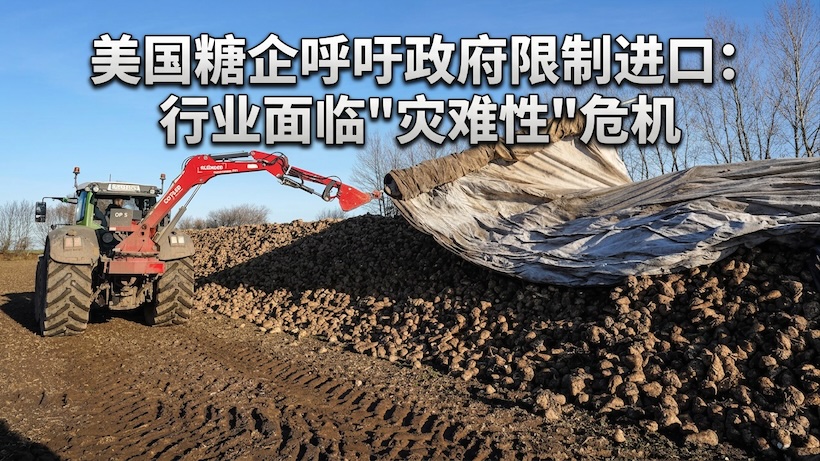 美国糖企请求贸易代表处限制食糖进口 对补贴进口糖采取贸易措施