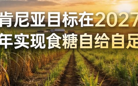 肯尼亚推动蔗糖业变革，打造生物经济与能源枢纽