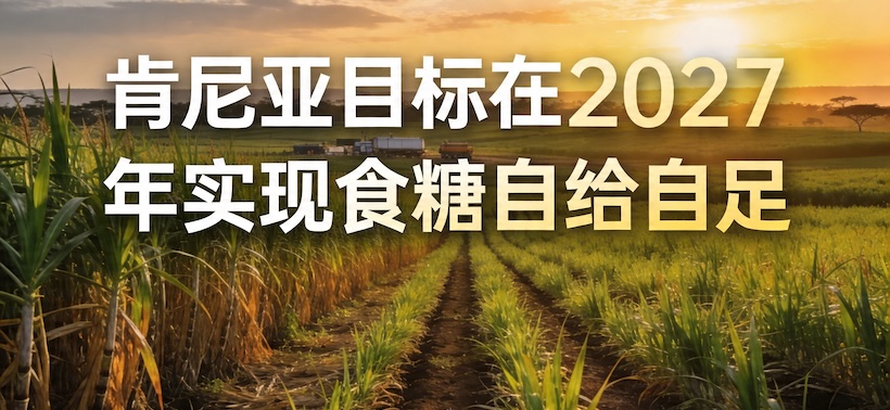 肯尼亚推动蔗糖业变革，打造生物经济与能源枢纽