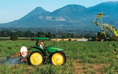 危地马拉：2026/27年度食糖产量预计增长近5%