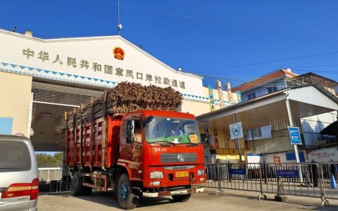 甘蔗榨季结束，云南瑞丽边检站累计35万余吨甘蔗入境