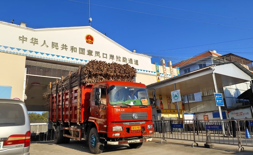 甘蔗榨季结束，云南瑞丽边检站累计35万余吨甘蔗入境