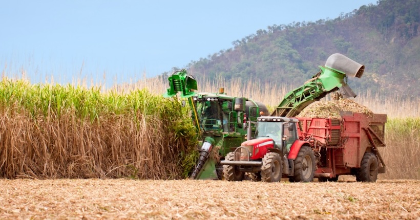 甘蔗收割机