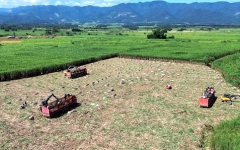 向“新”提质 以“质”催“新–英茂糖业以新质生产力强劲推动原料发展提质加速