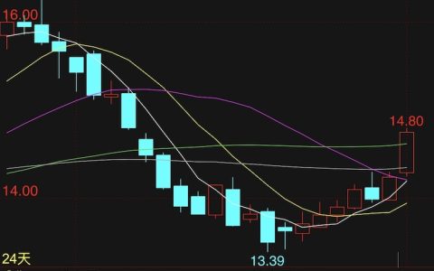 隔夜国际糖价涨了