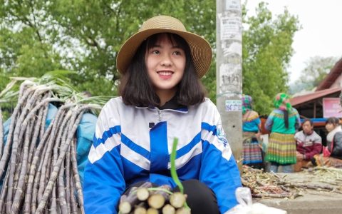 越南蔗糖产业面临碳排放"新规则"考验  绿色转型已是必由之路