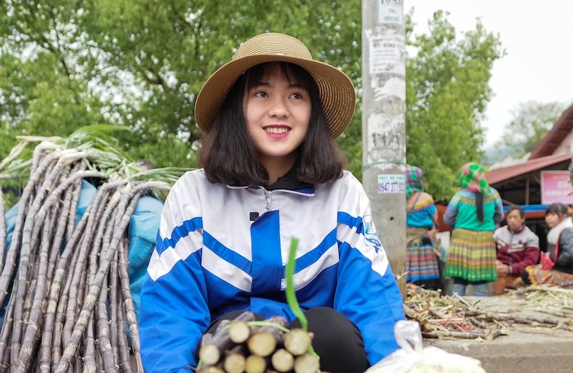 越南蔗糖产业面临碳排放"新规则"考验  绿色转型已是必由之路