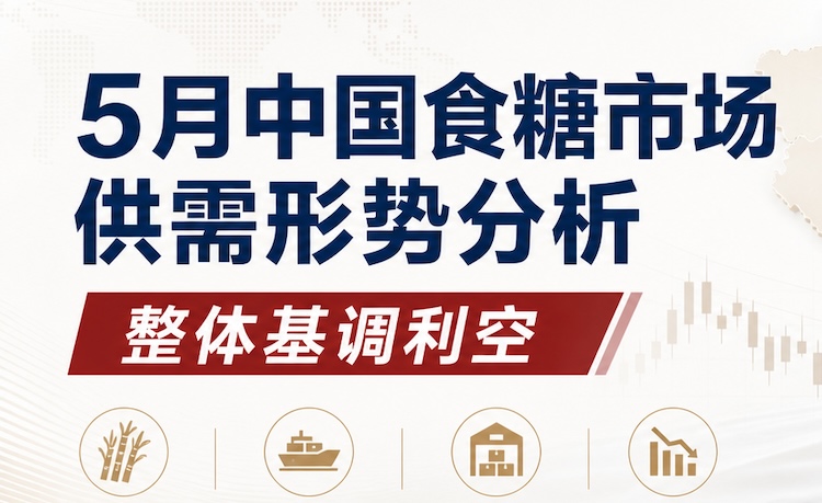 2026年5月中国食糖市场供需形势分析解读