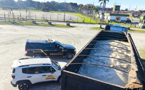 巴西开展联合专项执法行动 在巴拉那瓜港查获48吨掺假食糖