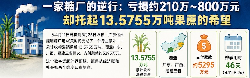 今年，一家糖厂上了热搜！耀明糖厂“果蔗救援季”，一场算得清又算不清的账