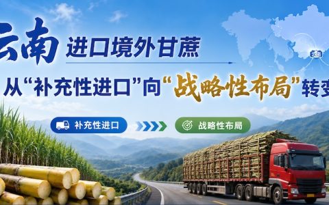 单一口岸日均进口甘蔗4700吨！云南糖业正在从”补充性进口”向”战略性布局”转变