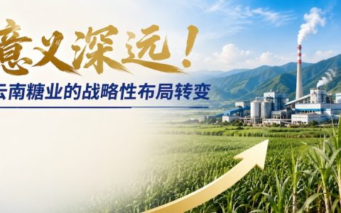 意义深远！云南糖业的战略性布局转变