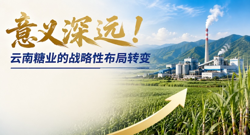 意义深远！云南糖业的战略性布局转变