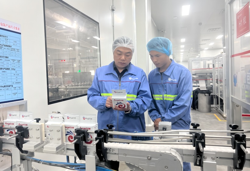 一根甘蔗的绿色旅程：走进安琪酵母普洱公司