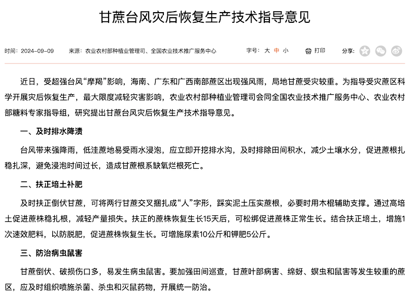 到底多少甘蔗受灾？第10号台风“美莎克”影响广西蔗区，甘蔗灾后减损与田间补救建议