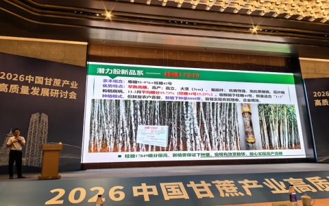 甘蔗新品种新技术新装备成果发布会在广西南宁举行