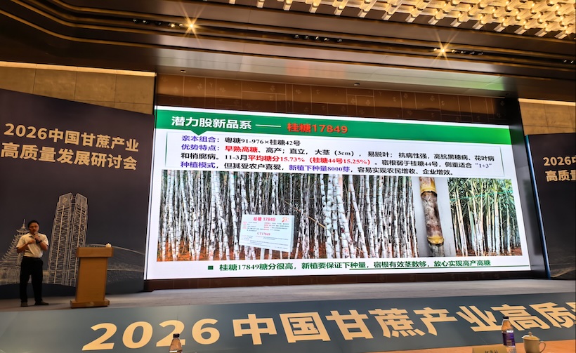 甘蔗新品种新技术新装备成果发布会在广西南宁举行