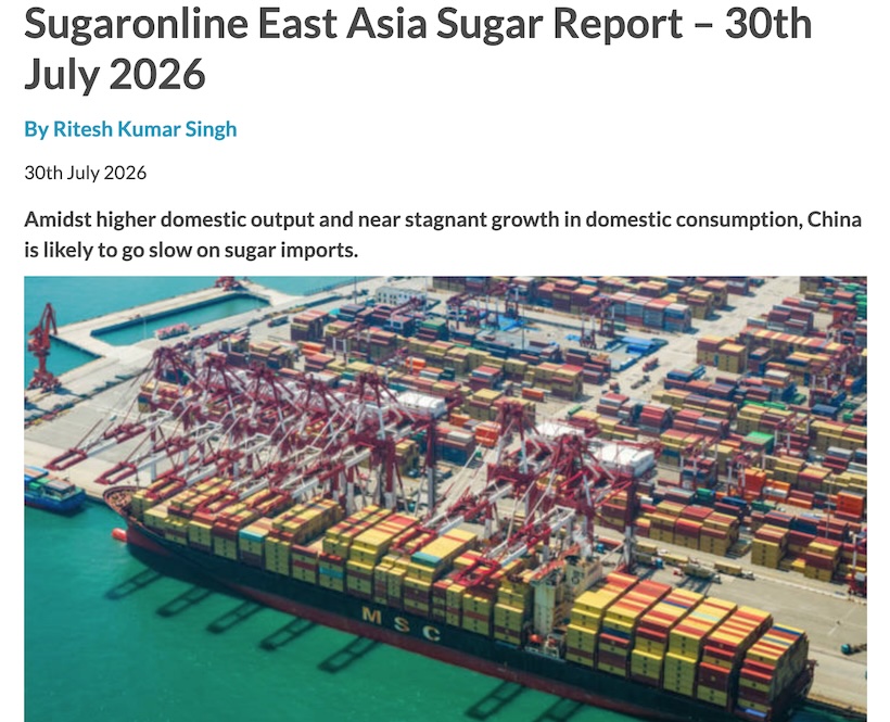 Sugaronline:中国或将放慢食糖进口节奏!