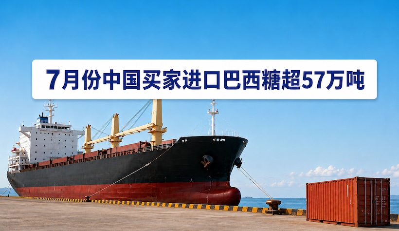 巴西7月份食糖出口299万吨，中国买家是最大买方，占比19.3%