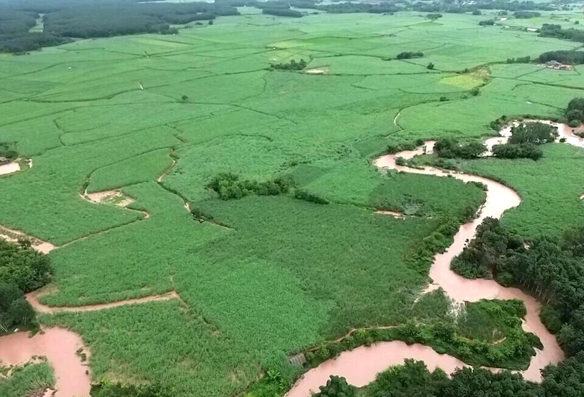 云南勐捧糖厂老挝蔗区遭遇强降雨洪涝灾害 全力开展抢险自救保生产