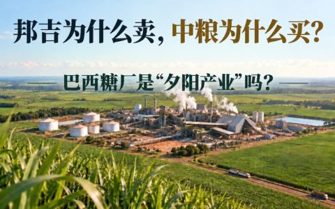 邦吉为什么卖、中粮为什么买？巴西糖厂是“夕阳产业”吗？