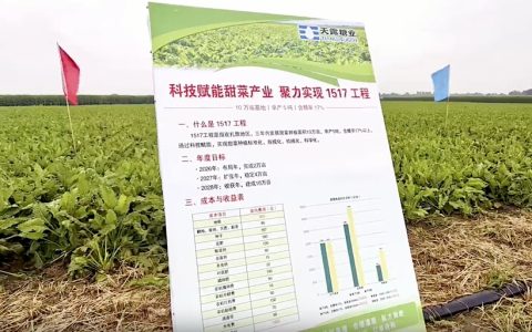 我国2026/27榨季即将开启 首家甜菜糖厂预计9月16日开机