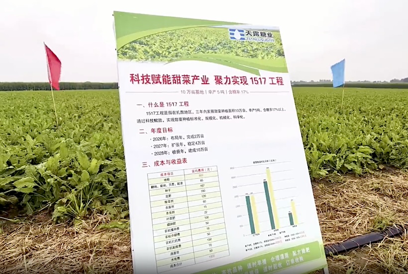 我国2026/27榨季即将开启 首家甜菜糖厂预计9月16日开机