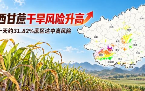 广西新榨季即将开启，近三分之一蔗区面临中高等级干旱风险