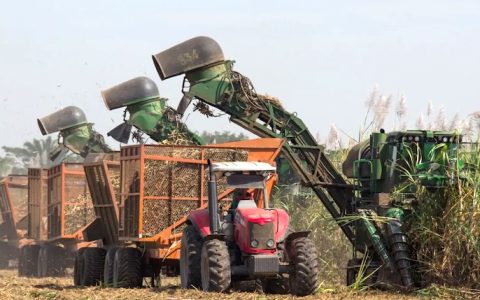 巴西北部及东北部新榨季已产糖29.4万吨，同比增3.3%，面临出口压力