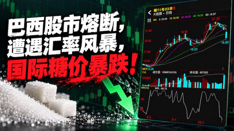 巴西股市熔断遭遇汇率风暴,国际糖价暴跌5.63%!19美分能否守住?