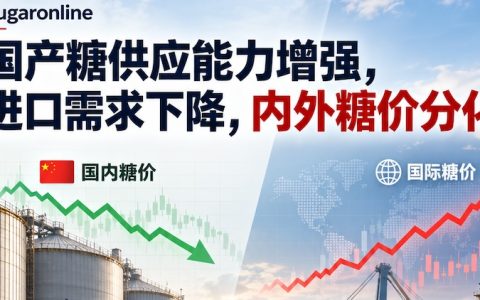 国际糖业机构：2026/27榨季中国进口糖需求进一步放缓，全球食糖出口商面临新挑战
